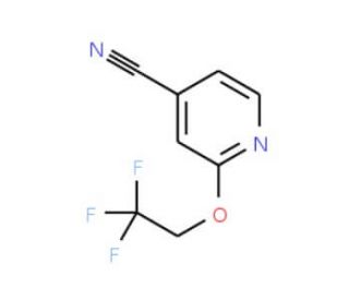 2-(2,2,2-trifluoroethoxy)isonicotinonitrile - chemical structure image