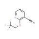 2-(2,2,2-Trifluoroethoxy)pyridine-3-carbonitrile (CAS 175277-89-1) - chemical structure image