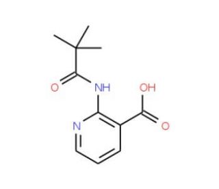 2-(2,2,2-Trimethylacetamido)nicotinic acid (CAS 125867-25-6) - chemical structure image