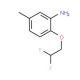 2-(2,2-Difluoroethoxy)-5-methylphenylamine - chemical structure image