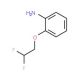 2-(2,2-Difluoroethoxy)phenylamine - chemical structure image