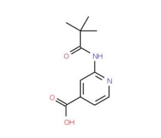 2-(2,2-Dimethyl-propionylamino)-isonicotinic acid (CAS 470463-34-4) - chemical structure image