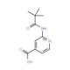 2-(2,2-Dimethyl-propionylamino)-isonicotinic acid (CAS 470463-34-4) - chemical structure image