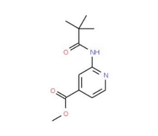2-(2,2-Dimethyl-propionylamino)-isonicotinic acidmethyl ester (CAS 470463-38-8) - chemical structure image