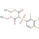 2-(2,3,4-Trifluoro-benzenesulfonyl)-malonic acid diethyl ester - chemical structure image