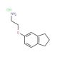 2-(2,3-Dihydro-1H-inden-5-yloxy)ethylaminehydrochloride - chemical structure image