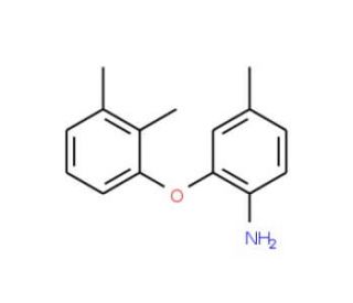 2-(2,3-Dimethylphenoxy)-4-methylaniline - chemical structure image