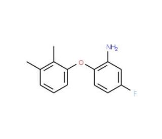 2-(2,3-Dimethylphenoxy)-5-fluoroaniline - chemical structure image