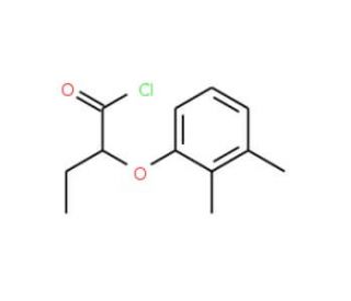 2-(2,3-dimethylphenoxy)butanoyl chloride - chemical structure image