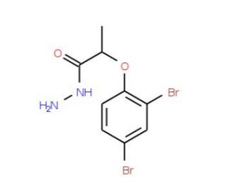 2-(2,4-Dibromophenoxy)propanohydrazide - chemical structure image
