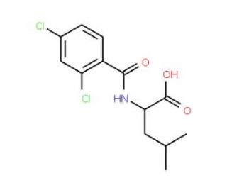 2-(2,4-Dichloro-benzoylamino)-4-methyl-pentanoic acid - chemical structure image