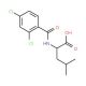 2-(2,4-Dichloro-benzoylamino)-4-methyl-pentanoic acid - chemical structure image