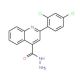 2-(2,4-Dichlorophenyl)quinoline-4-carbohydrazide - chemical structure image