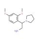 2-(2,4-Dimethoxy-phenyl)-2-pyrrolidin-1-yl-ethylamine - chemical structure image