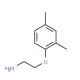 2-(2,4-Dimethyl-phenoxy)-ethylamine (CAS 50912-65-7) - chemical structure image
