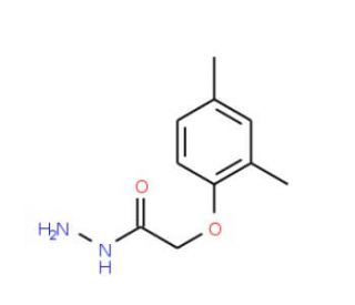 2-(2,4-Dimethylphenoxy)acetohydrazide (CAS 72293-69-7) - chemical structure image