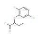 2-(2,5-dichlorophenoxy)butanoyl chloride - chemical structure image