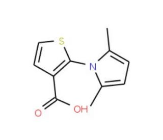 2-(2,5-Dimethyl-1H-pyrrol-1-yl)-3-thiophenecarboxylic acid - chemical structure image