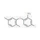 2-(2,5-Dimethylphenoxy)-5-fluoroaniline - chemical structure image