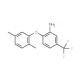 2-(2,5-Dimethylphenoxy)-5-(trifluoromethyl)aniline - chemical structure image