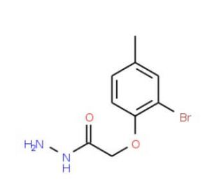 2-(2-Bromo-4-methylphenoxy)acetohydrazide (CAS 6079-89-6) - chemical structure image
