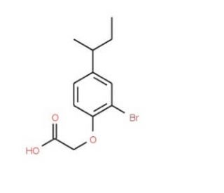 2-[2-Bromo-4-(sec-butyl)phenoxy]acetic acid - chemical structure image