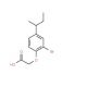 2-[2-Bromo-4-(sec-butyl)phenoxy]acetic acid - chemical structure image
