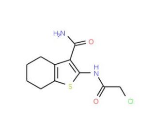 2-(2-Chloro-acetylamino)-4,5,6,7-tetrahydro-benzo[b]thiophene-3-carboxylic acid amide (CAS 20886-87-7) - chemical structure i