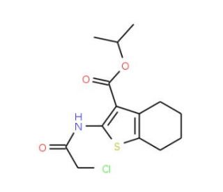 2-(2-Chloro-acetylamino)-4,5,6,7-tetrahydro-benzo[b]thiophene-3-carboxylic acid isopropyl ester - chemical structure image