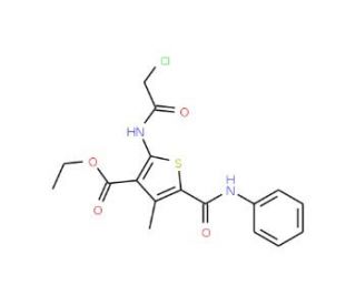 2-(2-Chloro-acetylamino)-4-methyl-5-phenylcarbamoyl-thiophene-3-carboxylic acid ethyl ester - chemical structure image