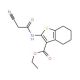 2-(2-Cyano-acetylamino)-4,5,6,7-tetrahydro-benzo[b]thiophene-3-carboxylic acid ethyl ester - chemical structure image