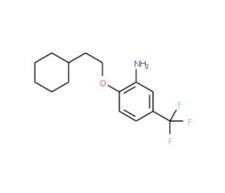 2-(2-Cyclohexylethoxy)-5-(trifluoromethyl)aniline - chemical structure image