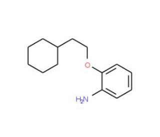 2-(2-Cyclohexylethoxy)aniline - chemical structure image