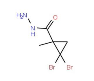2,2-Dibromo-1-methylcyclopropanecarbohydrazide - chemical structure image