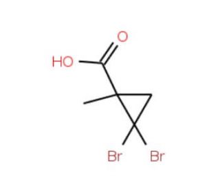 2,2-Dibromo-1-methylcyclopropanecarboxylic acid - chemical structure image