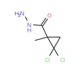 2,2-Dichloro-1-methylcyclopropanecarbohydrazide - chemical structure image