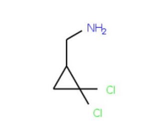 (2,2-dichlorocyclopropyl)methylamine (CAS 68618-71-3) - chemical structure image
