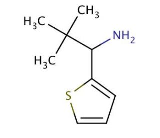 2,2-dimethyl-1-thien-2-ylpropan-1-amine - chemical structure image