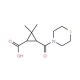 2,2-Dimethyl-3-(thiomorpholin-4-ylcarbonyl)-cyclopropanecarboxylic acid - chemical structure image
