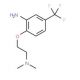 2-[2-(Dimethylamino)ethoxy]-5-(trifluoromethyl)-aniline - chemical structure image