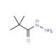 2,2-dimethylpropanohydrazide (CAS 42826-42-6) - chemical structure image