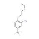 2-(2-Ethoxyethoxy)-5-(trifluoromethyl)aniline - chemical structure image