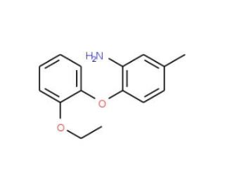 2-(2-Ethoxyphenoxy)-5-methylaniline - chemical structure image