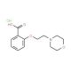 2-(2-Morpholin-4-yl-ethoxy)-benzoic acid hydrochloride - chemical structure image