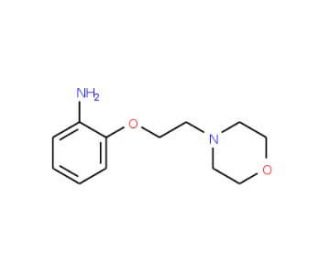 2-(2-Morpholin-4-ylethoxy)aniline (CAS 64039-56-1) - chemical structure image