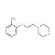 2-(2-Morpholin-4-ylethoxy)aniline (CAS 64039-56-1) - chemical structure image
