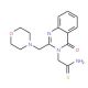 2-[2-(morpholin-4-ylmethyl)-4-oxoquinazolin-3(4H)-yl]ethanethioamide - chemical structure image
