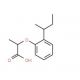 2-[2-(sec-Butyl)phenoxy]propanoic acid (CAS 887029-70-1) - chemical structure image