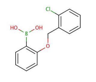 2-(2&prime;-Chlorobenzyloxy)phenylboronic acid (CAS 870777-21-2) - chemical structure image