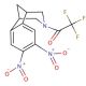 2,3,4,5-Tetrahydro-7,8-dinitro-3-(trifluoroacetyl)-1,5-methano-1H-3-benzazepine (CAS 230615-59-5) - chemical structure image